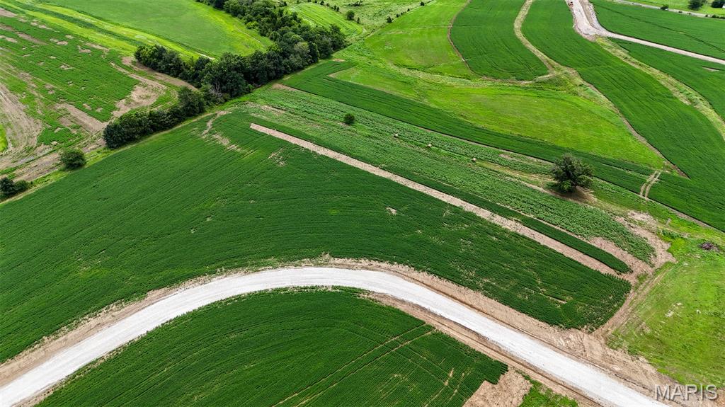 251 Autumn Hallow Ct