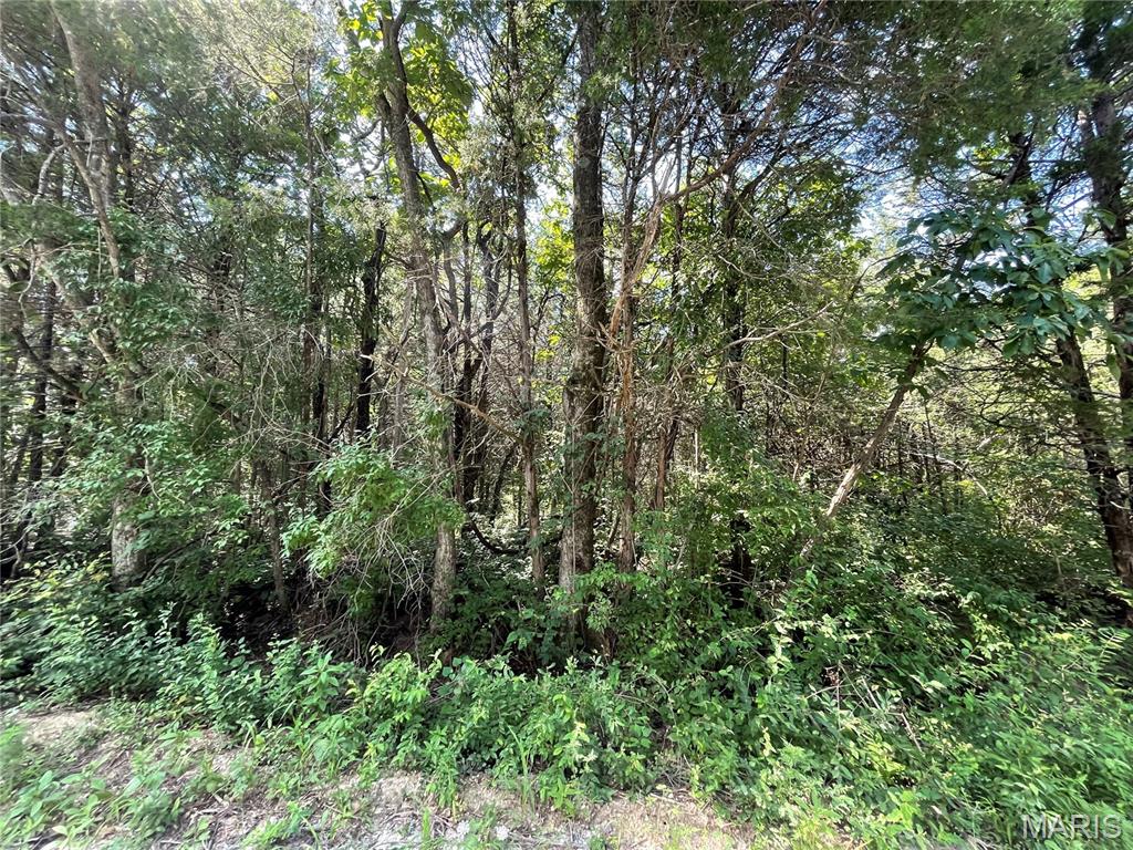 Evergreen Lakes - Land