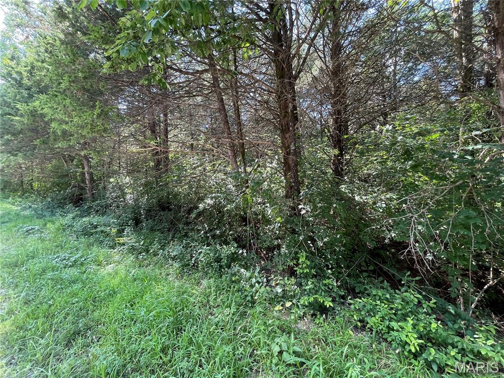 Evergreen Lakes - Land