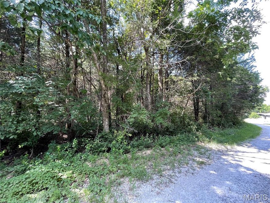 Discover an exceptional opportunity to secure your footprint in the desirable Evergreen Lakes community of Catawissa, MO! This wooded residential lot offers both privacy and convenience, with electric service nearby and access to a community well—helping you save on site development costs. Enjoy peaceful surroundings with easy access to Evergreen Lakes' community lakes, Nike Elementary School, outdoor recreation areas like Don Robinson State Park, and Labarque Creek Conservation Area, and only a short drive to the amenities of Pacific, MO. Experience the perfect blend of country living and nearby amenities. Don’t miss your chance to secure this beautiful homesite—schedule your private tour today!