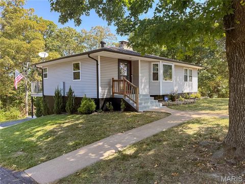 12268 State Road Tt Festus MO 63028