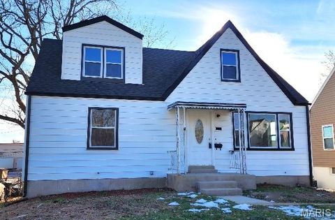 Photo of 9808 Zykan Drive, St Louis, MO 63114 (MLS # 25080660)