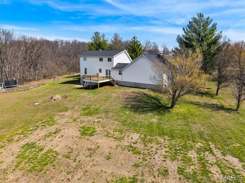 Tiny photo for 315 Pine Court, Troy, MO 63379 (MLS # 26016998)