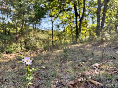 Tiny photo for 15510 Highway Nn, Bowling Green, MO 63334 (MLS # 26062057)