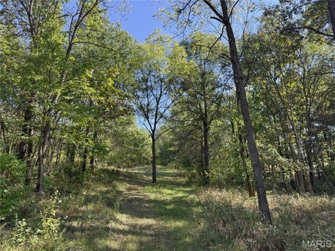 Tiny photo for 15510 Highway Nn, Bowling Green, MO 63334 (MLS # 26062057)