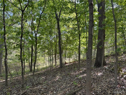 Tiny photo for 15510 Highway Nn, Bowling Green, MO 63334 (MLS # 26062057)