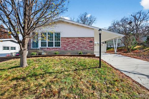 Tiny photo for 1216 Fernleaf Drive, St Louis, MO 63126 (MLS # 25060259)