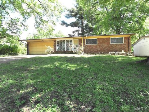 Tiny photo for 10412 Viscount Drive, St Louis, MO 63136 (MLS # 26026502)