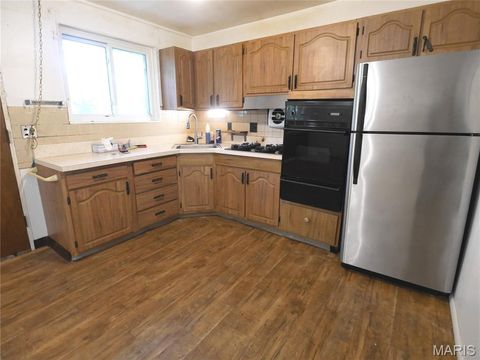 Tiny photo for 10412 Viscount Drive, St Louis, MO 63136 (MLS # 26026502)