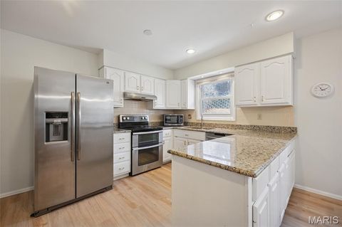 Tiny photo for 394 Branchport Drive, Chesterfield, MO 63017 (MLS # 26000797)