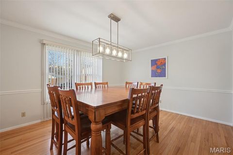 Tiny photo for 394 Branchport Drive, Chesterfield, MO 63017 (MLS # 26000797)