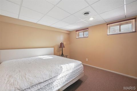 Tiny photo for 394 Branchport Drive, Chesterfield, MO 63017 (MLS # 26000797)