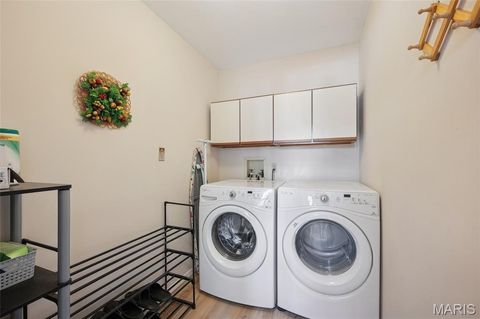 Tiny photo for 394 Branchport Drive, Chesterfield, MO 63017 (MLS # 26000797)