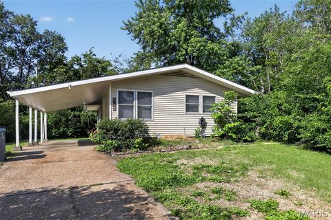 Photo of 514 Wishaw Court, St Louis, MO 63137 (MLS # 26026382)