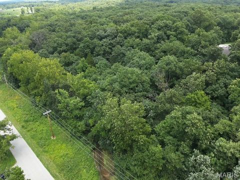 Tiny photo for 10 Big Tom Court, Hawk Point, MO 63349 (MLS # 25049317)