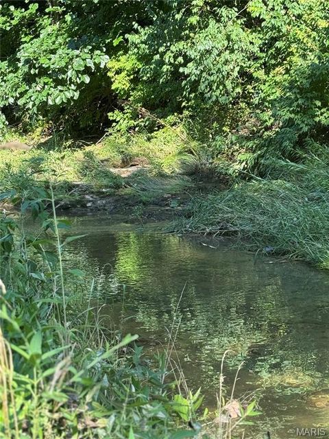 Tiny photo for 10 Big Tom Court, Hawk Point, MO 63349 (MLS # 25049317)