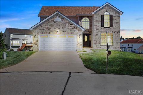 210 Behlmann Meadows Way Florissant MO 63034