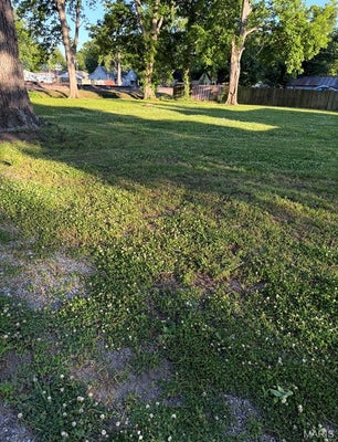 503 E 7TH ST, PORTAGEVILLE, MO 63873 - Image 69dcadfde2ec12ea9ea95ed0f4a9d734/1753340220