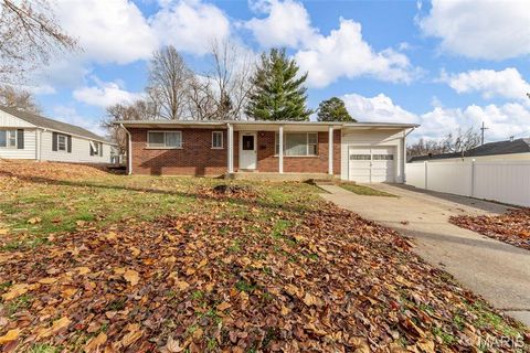 Photo of 3902 Jane Avenue, St Ann, MO 63074 (MLS # 25080066)