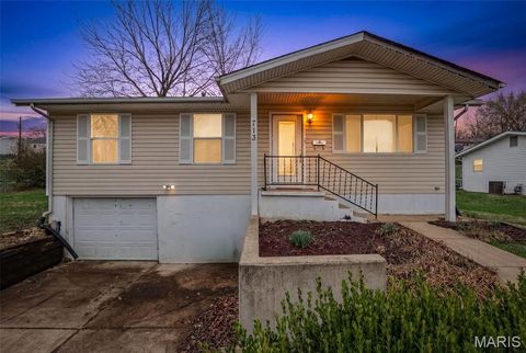 713 Lansdowne Street De Soto MO 63020