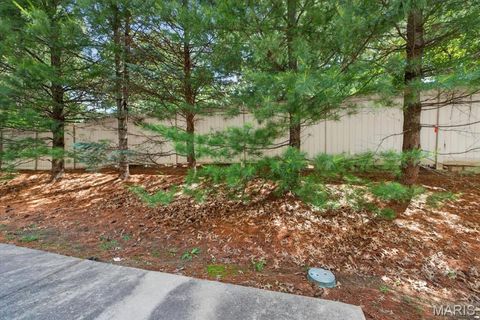 Tiny photo for 14 Loris Lane, St Charles, MO 63303 (MLS # 26029847)