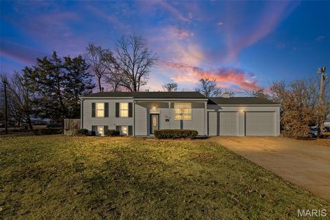 1101 Saint Patrick Boulevard Cahokia IL 62206