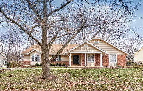Photo of 14628 Big Timber Lane, Chesterfield, MO 63017 (MLS # 25078422)