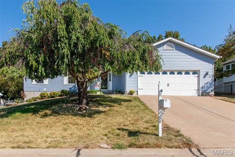 33 Ashford Place Festus MO 63028