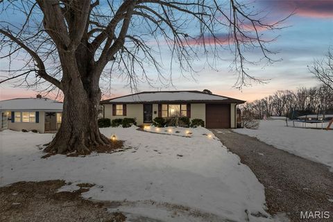 610 S Ridge Avenue Steeleville IL 62288