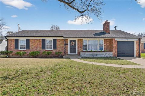 Photo of 8628 Mayflower Court, St Louis, MO 63132 (MLS # 26017307)