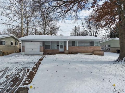 10626 Landseer Drive St Louis MO 63136