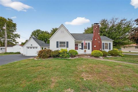 325 N Delaware Avenue Belleville IL 62221