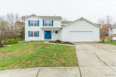 Photo of 25 Moonlight Court, Wentzville, MO 63385 (MLS # 26003860)