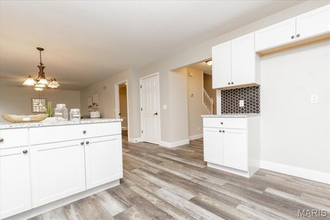 Tiny photo for 25 Moonlight Court, Wentzville, MO 63385 (MLS # 26003860)