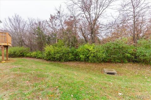 Tiny photo for 25 Moonlight Court, Wentzville, MO 63385 (MLS # 26003860)