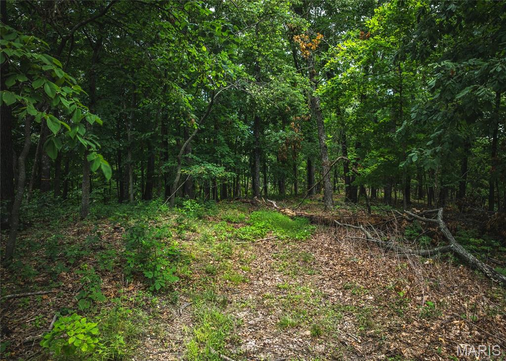 Rivermont Ranch - Land