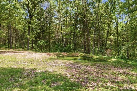 Tiny photo for 9600 Creek Road, Raymondville, MO 65555 (MLS # 26028460)