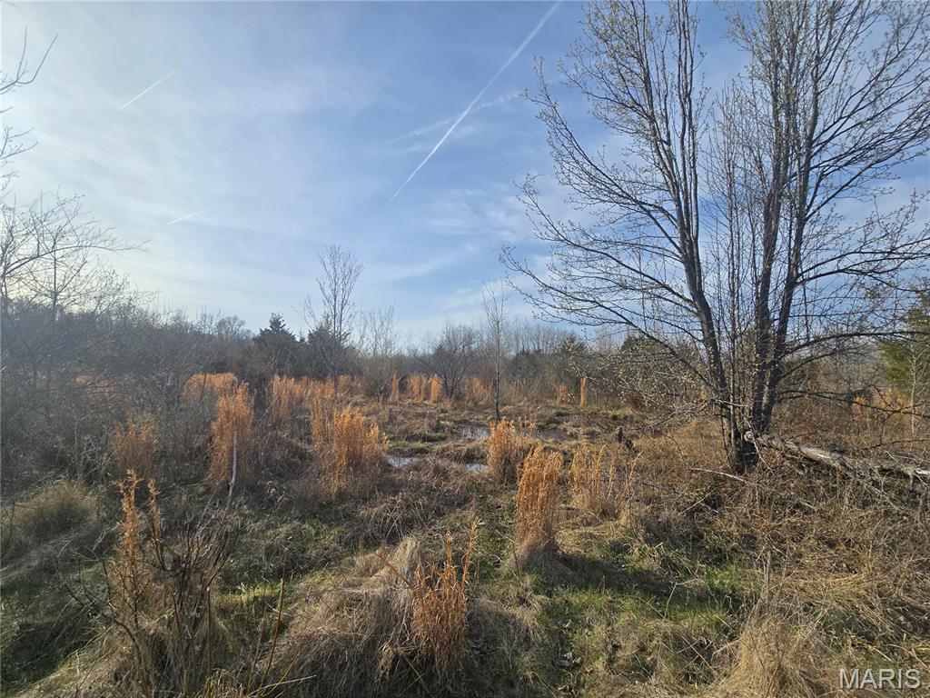 Franz Boedefeld Estate Whisler Hills - Land