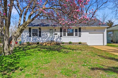 Photo of 613 Jasmin Drive, Kirkwood, MO 63122 (MLS # 26014131)