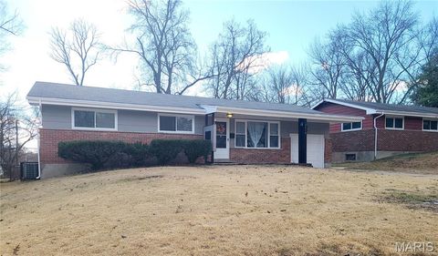 Photo of 2414 Castle Drive, Moline Acres, MO 63136 (MLS # 26003080)