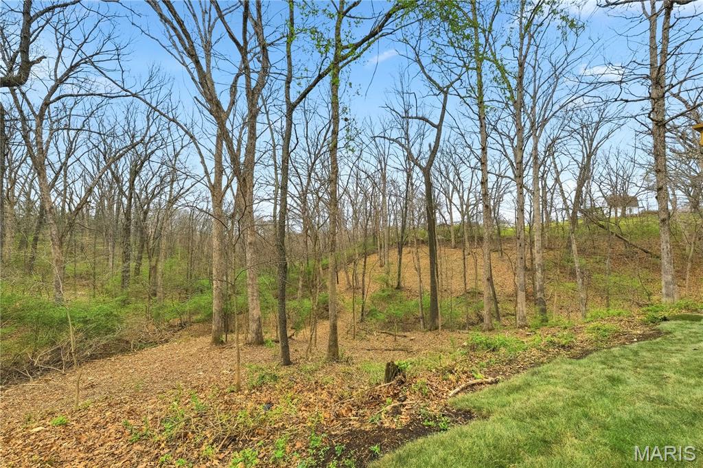 Meadow Forest Manors - Residential