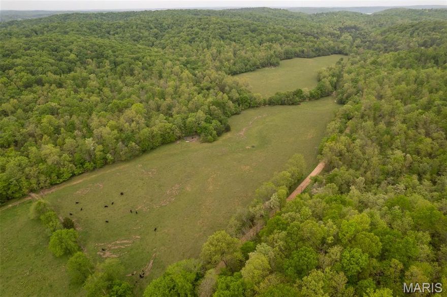 Discover your dream farm! This 102 +/- acre property boasts 60 +/- acres of well-maintained, fenced pasture that is currently used for cattle grazing. Complete with a couple ponds and Dry Creek running through the property. Across the road you will find 40 +/- acres of wooded land, ideal for hunting or simply enjoying nature. Conveniently located near Clearwater Lake! Don't miss out on this beautiful farm on the outskirts of Piedmont!