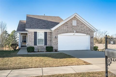Photo of 36 Chesterfield Court, Wentzville, MO 63385 (MLS # 26003602)