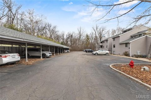 Tiny photo for 1321 Prospect Village Lane #D, Ballwin, MO 63021 (MLS # 25082377)