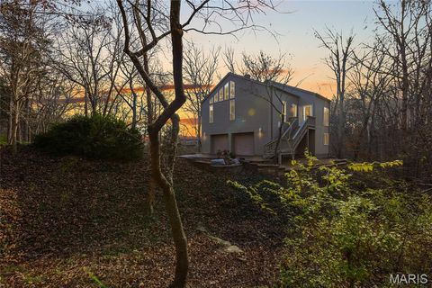 Photo of 23 Hillside Drive, Pacific, MO 63069 (MLS # 25073009)