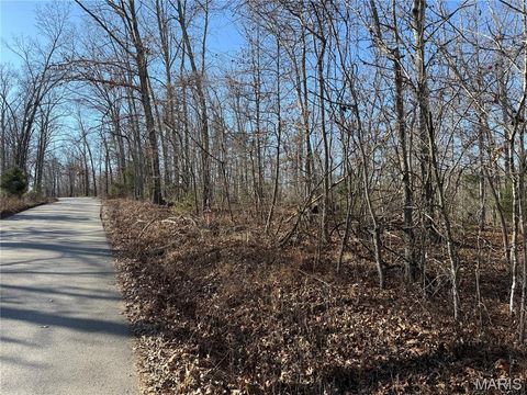 Tiny photo for 0 Bass Rock Drive, Van Buren, MO 63965 (MLS # 26029671)
