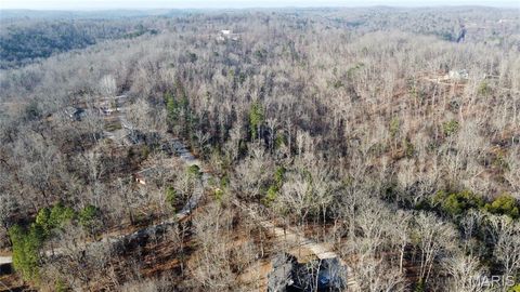 Tiny photo for 0 Bass Rock Drive, Van Buren, MO 63965 (MLS # 26029671)