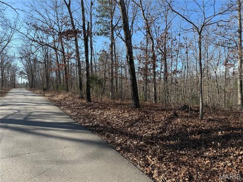 Tiny photo for 0 Bass Rock Drive, Van Buren, MO 63965 (MLS # 26029671)