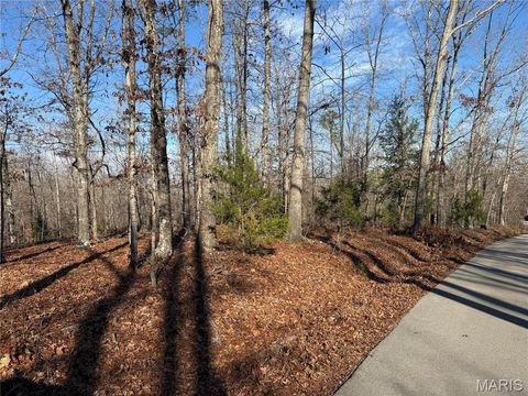 Tiny photo for 0 Bass Rock Drive, Van Buren, MO 63965 (MLS # 26029671)