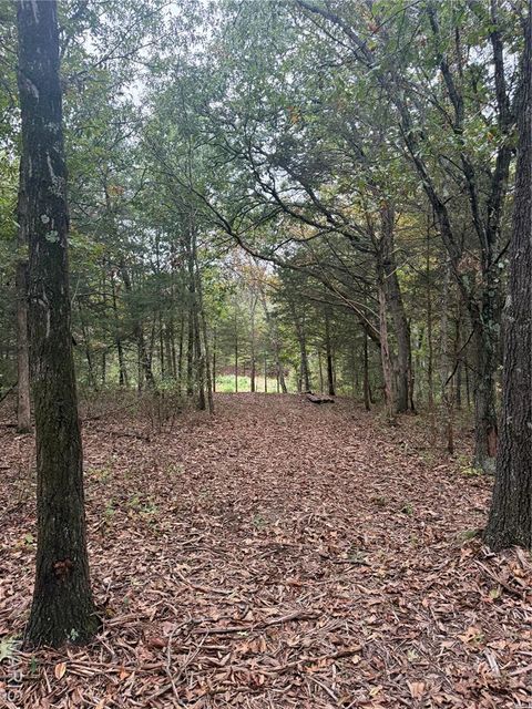 Tiny photo for 0 HWY DD, Truxton, MO 63381 (MLS # 25069289)